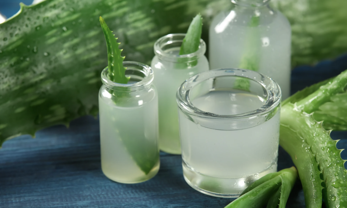 Dùng gel lô hội là cách đơn giản mà hiệu quả để làm mát và giảm nóng rát trong khoang miệng.