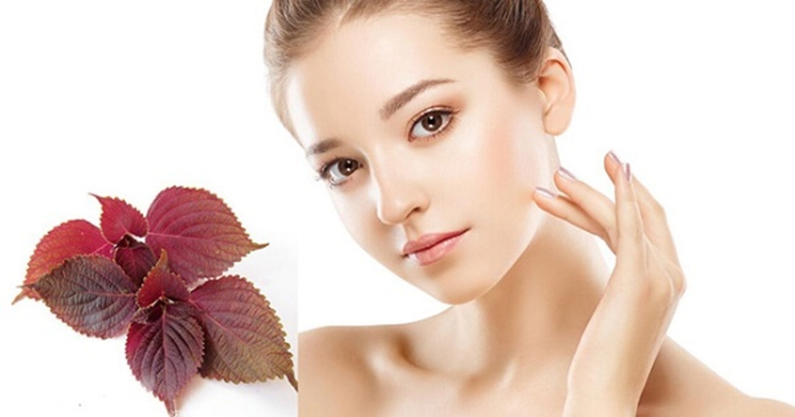 Tắm bằng nước lá tía tô giúp làm dịu mẩn ngứa, hỗ trợ trị rôm sảy.