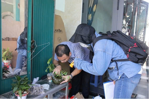 Kiểm soát dịch sốt xuất huyết tại phường Phước Thắng.
