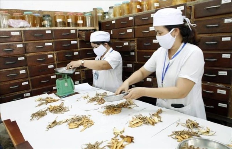 Đẩy mạnh phát triển nền y học cổ truyền Việt Nam trong giai đoạn mới.