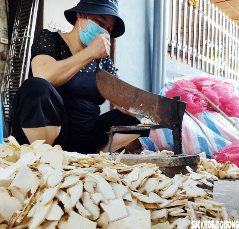 Người dân chế biến các sản phẩm từ dược liệu trên địa bàn tỉnh Hưng Yên.
