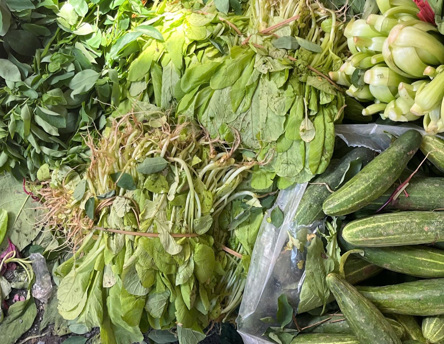 Rau cải bị dập nát nhiều sau mưa bão, có giá 12.000 đồng/bó.