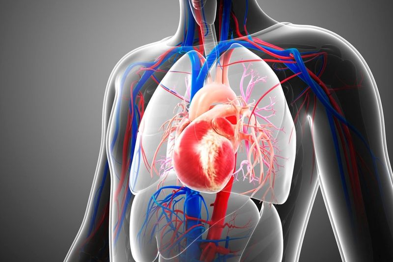 Bệnh thấp tim vẫn là nguyên nhân chính gây bệnh tim mạch ở các nước đang phát triển.