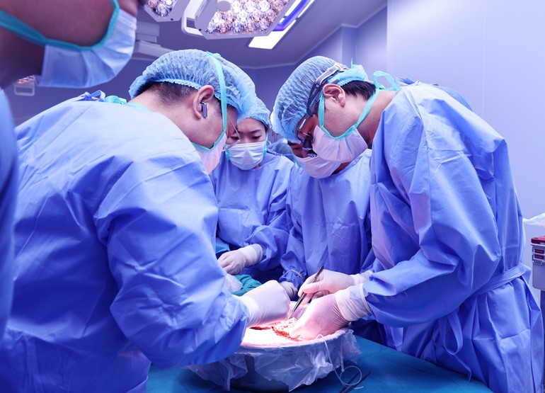 Bác sĩ chia lá gan người hiến.