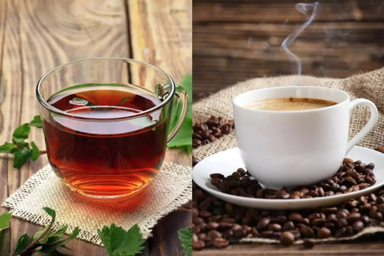 Trà và cà phê nên được sử dụng ở mức hợp lý