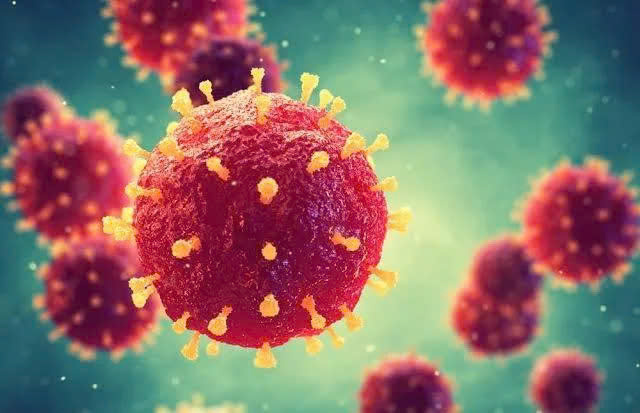 Virus Nipah có tỷ lệ tử vong cao, dao động 40–75% tùy thể trạng người bệnh.