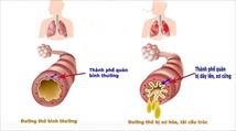 Tại sao tái cấu trúc đường thở là nguyên nhân cốt lõi gây ho, khó thở kéo dài ở bệnh nhân viêm phổi, viêm phế quản?