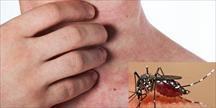 Sốt xuất huyết: Không phải hết sốt là khỏi bệnh
