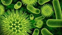 Nhiễm khuẩn là nguyên nhân gây tử vong thứ hai toàn cầu