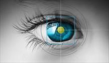 Liệu pháp tế bào gốc có thể khôi phục suy giảm thị lực