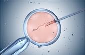 Phụ nữ trong quá trình IVF nên và không nên ăn gì?