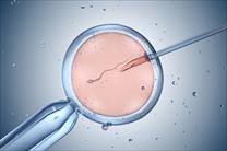 Phụ nữ trong quá trình IVF nên và không nên ăn gì?