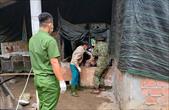 Dịch tả lợn châu Phi ở Huế xảy ra cục bộ, khuyến cáo chăn nuôi an toàn sinh học