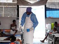 WHO: Số ca tử vong do bệnh tả trên toàn cầu tăng 50% trong năm 2024