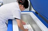 WHO hỗ trợ 9.000 liều vaccine phòng dại cứu người tại 2 tỉnh có nguy cơ cao ở Việt Nam