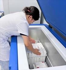 WHO hỗ trợ 9.000 liều vaccine phòng dại cứu người tại 2 tỉnh có nguy cơ cao ở Việt Nam