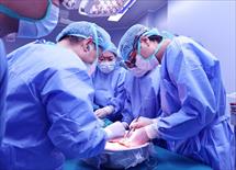 Thêm 6 người hồi sinh từ người hiến chết não