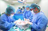 Năm 2025 ghi nhận nhiều thành tựu của ngành ghép tạng Việt Nam
