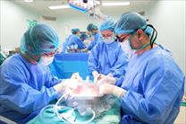 Năm 2025 ghi nhận nhiều thành tựu của ngành ghép tạng Việt Nam