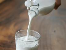 Nghiên cứu của Đại học Harvard: Sữa có thể hỗ trợ đào thải axit uric