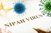 Bộ Y tế yêu cầu tăng cường phòng chống dịch bệnh do virus Nipah ngay tại cửa khẩu