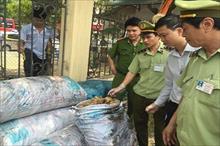 Lào Cai: Thu giữ 700kg thực phẩm bẩn đang trong quá trình phân hủy