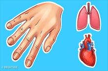 7 dấu hiệu xuất hiện trên bàn tay chứng tỏ sức khỏe đang có vấn đề nghiêm trọng