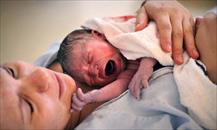 Thí nghiệm mang thai khiến 6 em bé chết trước khi chào đời