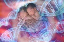 Cặp sinh đôi đầu tiên trên thế giới được chỉnh sửa gen sẽ thông minh hơn