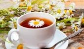 7 loại trà thảo dược hổ trợ trị ôn dịch lây nhiễm qua đường hô hấp