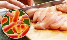 Thận trọng với ngộ độc thức ăn do vi khuẩn