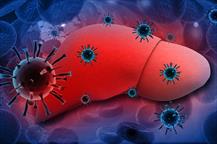 Viêm gan E: Nguyên nhân, triệu chứng và cách phòng bệnh
