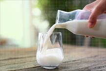 Những rủi ro có thể gặp khi bạn uống sữa tươi chưa tiệt trùng
