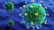 Nhiễm HIV: Triệu chứng, đường lây truyền và phòng ngừa