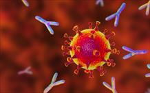 FDA cấp phép sử dụng khẩn cấp hỗn hợp kháng thể đơn dòng ngừa COVID-19