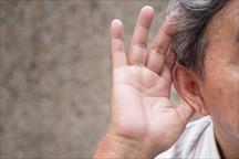 Nguyên nhân gây ù tai và giải pháp hỗ trợ từ thảo dược