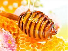 Mật ong nguyên chất và những lợi ích sức khỏe từ nguồn 'kháng sinh tự nhiên'