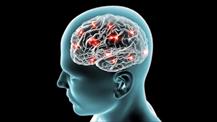 Hệ miễn dịch tấn công não bộ: Căn bệnh viêm não xa lạ dễ gây tử vong