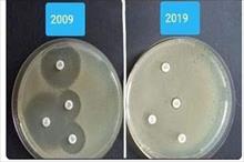 “Thử thách 10 năm” cho thấy vi khuẩn đã không còn đáp ứng với thuốc như trước