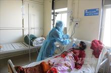 226 người chết vì cúm lợn tại Ấn Độ