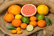 Giá trị dinh dưỡng của các loại trái cây mọng nước