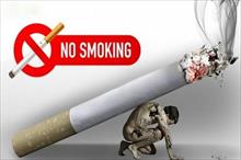 Chuyên gia quốc tế bật mí cứu cánh giảm tác hại thuốc lá