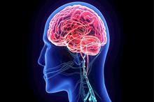 Tăng trưởng tế bào thần kinh mới giúp giảm ảnh hưởng bệnh Alzheimer