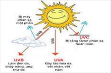 Mùa hè: Chắn che UV, ngăn ngừa nhiệt nóng