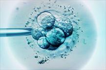 Trẻ sinh ra nhờ thụ tinh nhân tạo có nhiều khả năng mắc bệnh ung thư hơn?