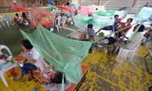 600 người chết do sốt xuất huyết, Philippines tuyên bố bệnh dịch toàn quốc