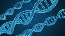 Con cái di truyền gene gì từ cha mẹ?