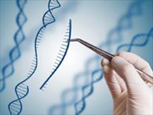 Thành công trong thử nghiệm CRISPR chống ung thư