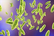 200 nhà khoa học nhiễm khuẩn từ nhà máy vắcxin